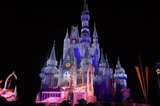 magic kingdom castle