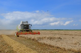 combine in field