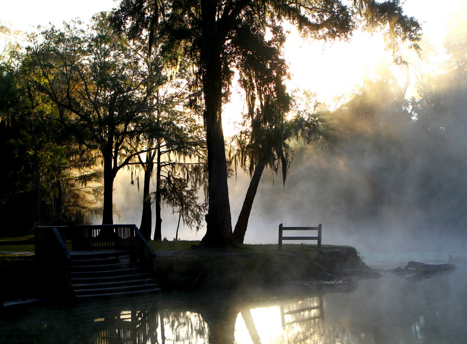 River bank