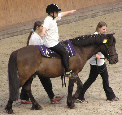 rider on horse with two guides