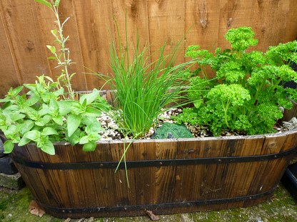 container garden